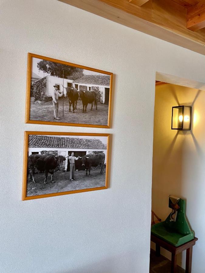 Casa Do Avo Jose Alves Villa Praia da Vitoria Luaran gambar